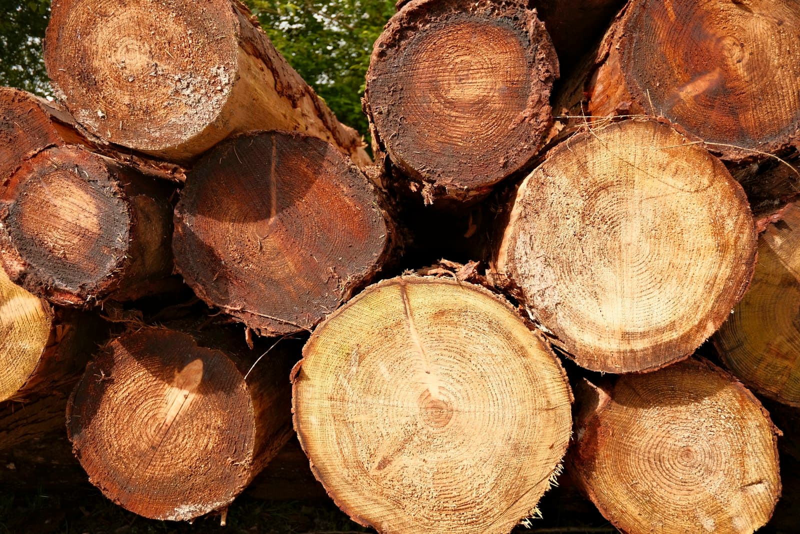 Bortforsling och flisning